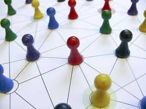 九游ios下载-中国篮球教练员专业能力提升路径，篮球教练员的专业技能包括哪些方面